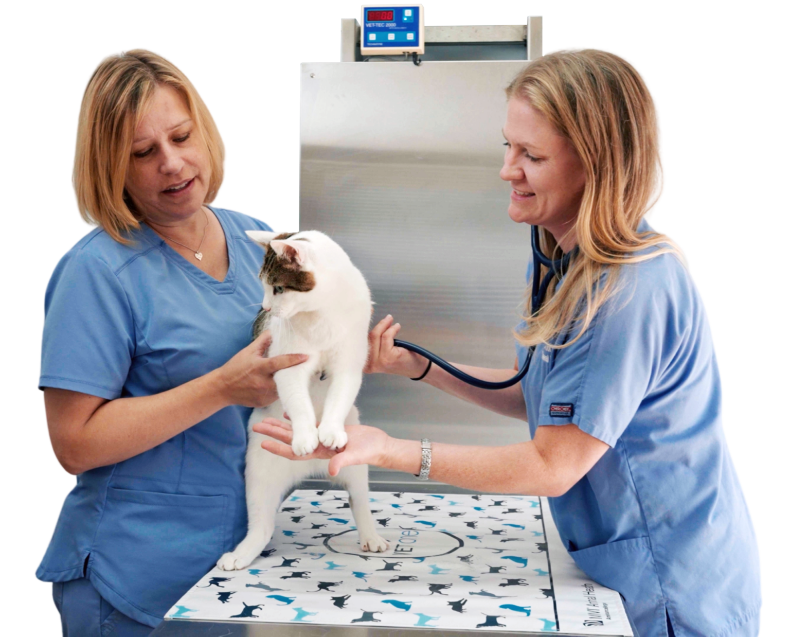 Home Mosaic Animal Health Center Fair Haven