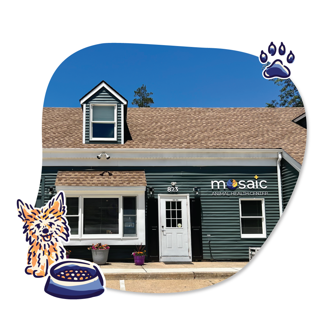 About Us Mosaic Animal Health Center Fair Haven